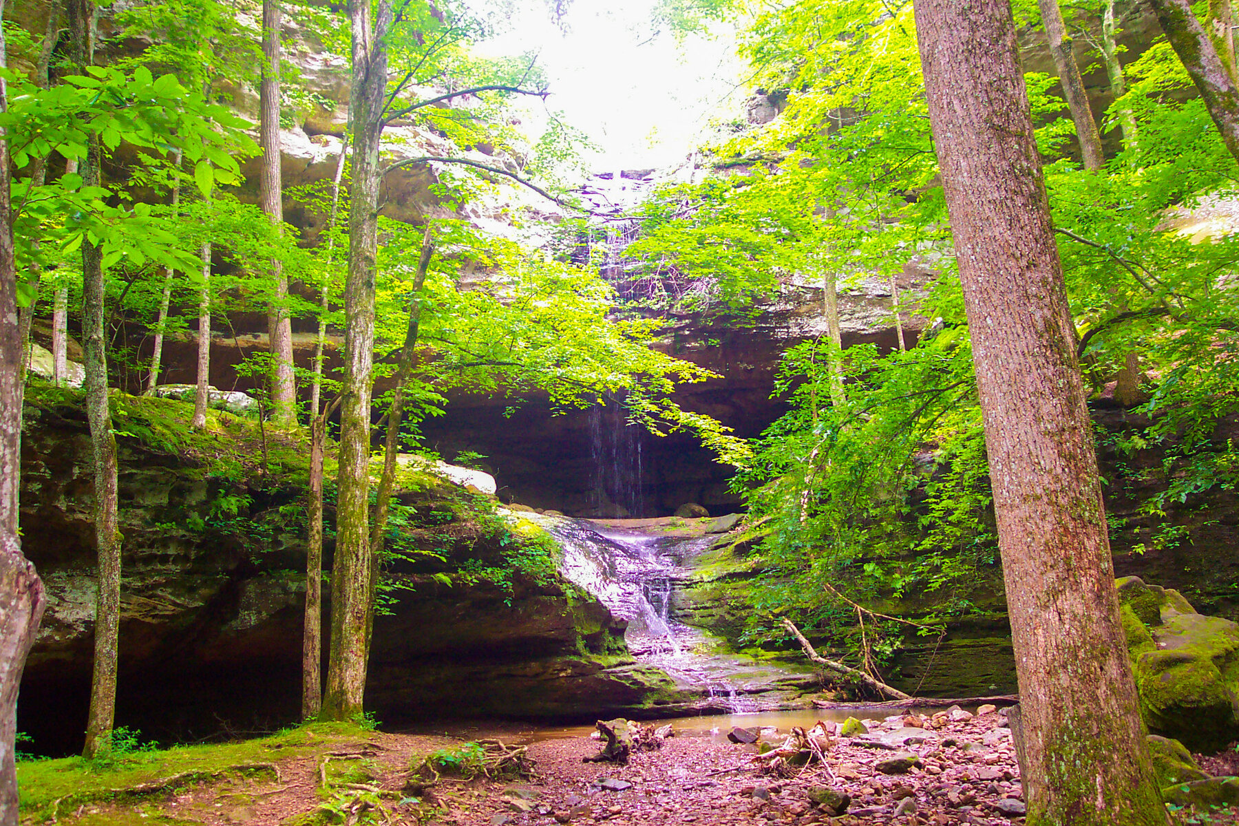 Cedar Falls, IL