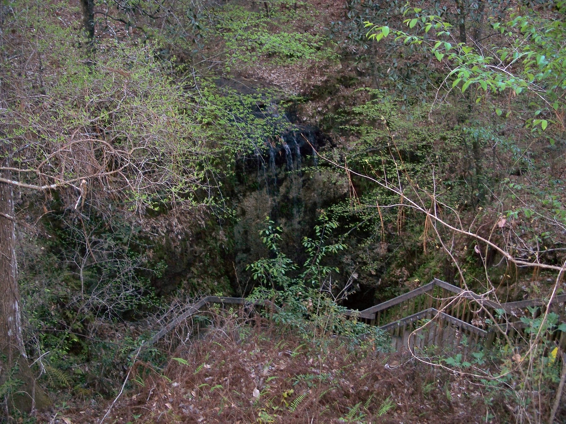 Falling Water