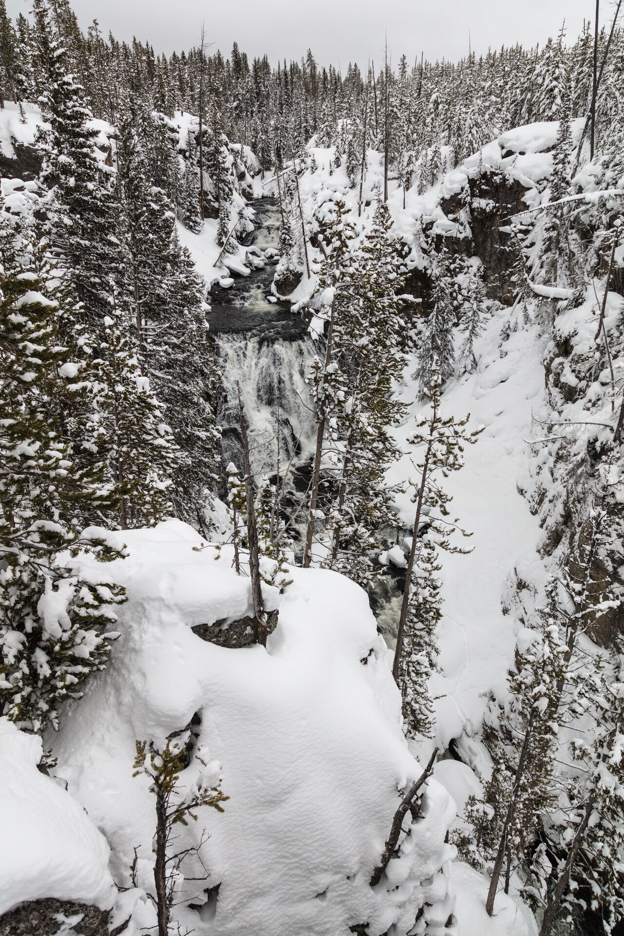 Kepler Cascades