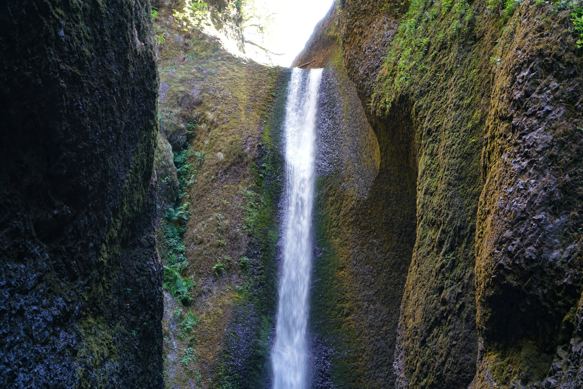 Oneonta Falls