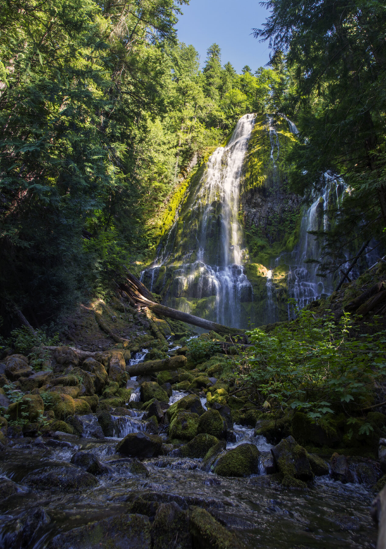 Proxy Falls